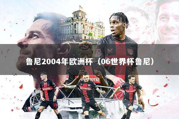 鲁尼2004年欧洲杯（06世界杯鲁尼）