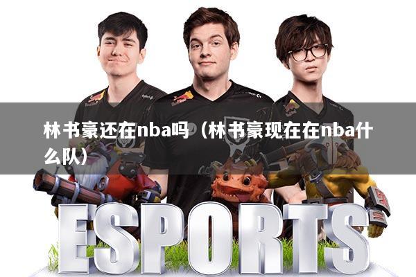 林书豪还在nba吗（林书豪现在在nba什么队）